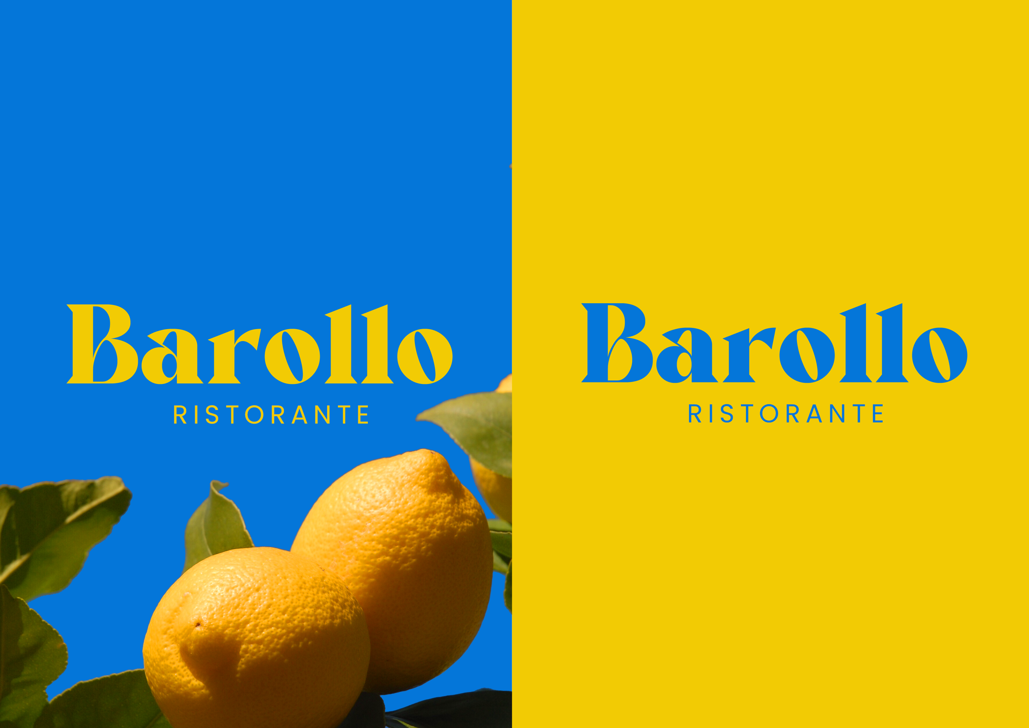 Barollo branding